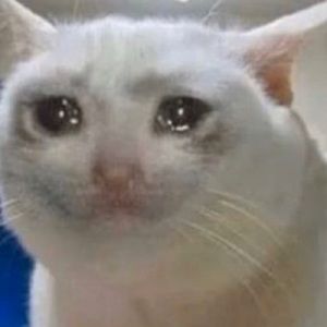 Meet your Posher, Mei